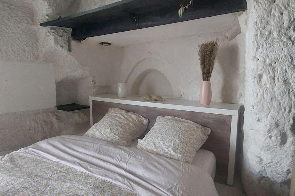 Troglo Entre Caves Et Chateaux Montlouis-sur-Loire Zewnętrze zdjęcie